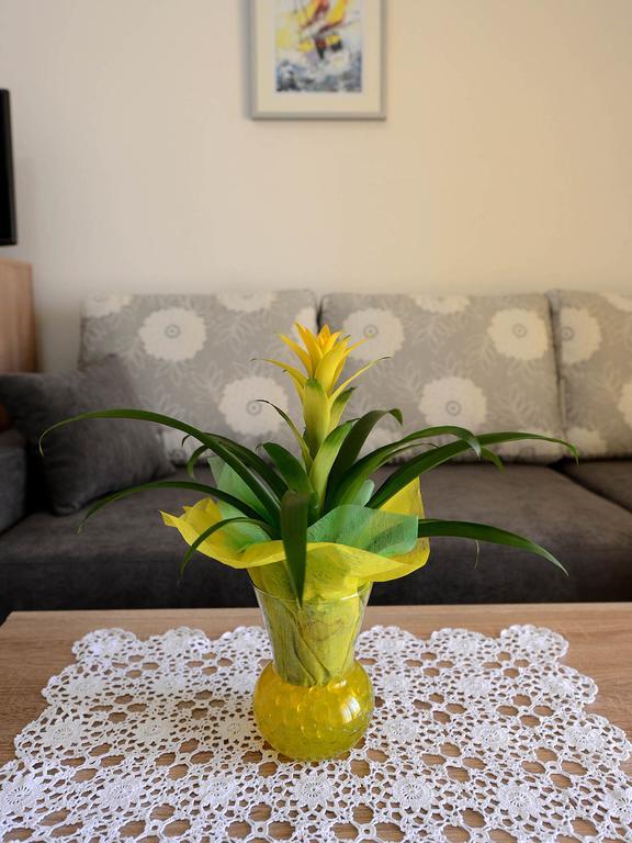 Apartman Adriana Zara Esterno foto
